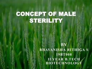 BY
BHAVANISHA RITHIGA S
19BT008
II YEAR B.TECH
BIOTECHNOLOGY
CONCEPT OF MALE
STERILITY
 