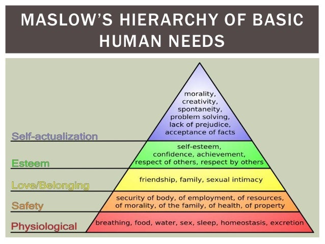 What are the needs of adults