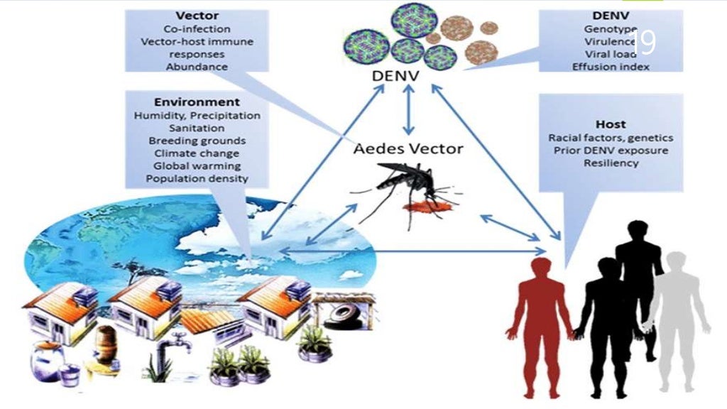 natural history of disease