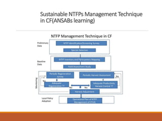 Concept of NTFPs resources Inventory-Nepal - Copy.ppt