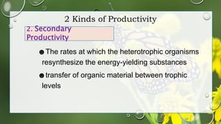 Concept of productivity | PPTX