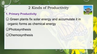 Concept of productivity | PPTX