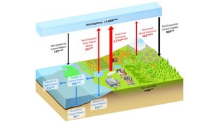 Concept of residence time and rate of natural cycles.pptx
