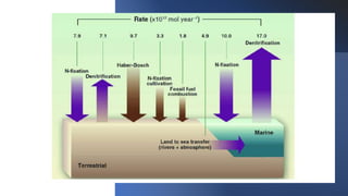 Concept of residence time and rate of natural cycles.pptx