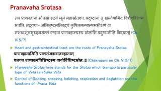 Pranavaha Srotasa
तत्र प्राणर्विानाां स्रोतसाां हृदयां मूलां मिास्रोतश्च, प्रदुष्टानाां तु खल्र्वेषाभमदां वर्वशेषवर्वज्ञानां
भर्वनत; तद्यर्था- अनतसृष्टमनतिद्धां कु वपतमल्पाल्पमभीक्ष्णां र्वा
सशब्दशूलमुच््र्वसन्तां दृशष््र्वा प्राणर्विान्यस्य स्रोताांभस प्रदुष्टानीनत वर्वद्यात्| (Ch.
Vi.5/7)
 Heart and gastrointestinal tract are the roots of Pranavaha Srotas
प्राणवहानामिति प्राणसंज्ञकवािवहानाि्
एिच्च प्राणाख्यववमिष्टस्य वायोवविमिष्टस्रोि: II (Chakrapani on Ch. Vi.5/7)
 Pranavaha Srotas here stands for the Srotas which transports particular
type of Vata i.e Prana Vata
 Control of Spitting, sneezing, belching, respiration and deglutition are the
functions of Prana Vata
 