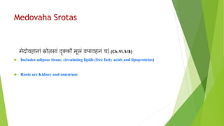 Medovaha Srotas
मेदोर्विानाां स्रोतसाां र्वृक्कौ मूलां र्वपार्विनां च| (Ch.Vi.5/8)
 Includes adipose tissue, circulating lipids (free fatty acids and lipoproteins)
 Roots are Kidney and omentum
 