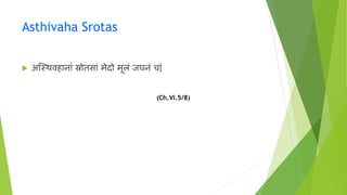 Asthivaha Srotas
 अन्स्र्थर्विानाां स्रोतसाां मेदो मूलां जर्नां च|
(Ch.Vi.5/8)
 