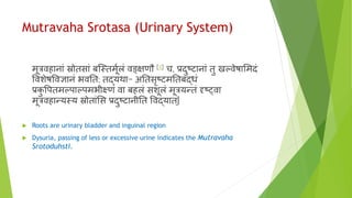 Mutravaha Srotasa (Urinary System)
मूत्रर्विानाां स्रोतसाां िन्स्तमूवलां र्वङ्खक्षणौ [२] च, प्रदुष्टानाां तु खल्र्वेषाभमदां
वर्वशेषवर्वज्ञानां भर्वनत; तद्यर्था- अनतसृष्टमनतिद्धां
प्रकु वपतमल्पाल्पमभीक्ष्णां र्वा ििलां सशूलां मूत्रयन्तां दृशष््र्वा
मूत्रर्विान्यस्य स्रोताांभस प्रदुष्टानीनत वर्वद्यात्|
 Roots are urinary bladder and inguinal region
 Dysuria, passing of less or excessive urine indicates the Mutravaha
Srotoduhsti.
 