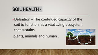 concept of soil quality & soil health.pptx