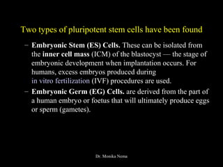 Two types of pluripotent stem cells have been found
– Embryonic Stem (ES) Cells. These can be isolated from
the inner cell mass (ICM) of the blastocyst — the stage of
embryonic development when implantation occurs. For
humans, excess embryos produced during
in vitro fertilization (IVF) procedures are used.
– Embryonic Germ (EG) Cells. are derived from the part of
a human embryo or foetus that will ultimately produce eggs
or sperm (gametes).
Dr. Monika Nema
 