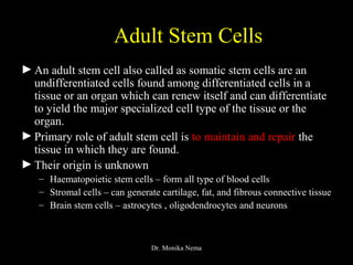 Adult Stem Cells
►An adult stem cell also called as somatic stem cells are an
undifferentiated cells found among differentiated cells in a
tissue or an organ which can renew itself and can differentiate
to yield the major specialized cell type of the tissue or the
organ.
►Primary role of adult stem cell is to maintain and repair the
tissue in which they are found.
►Their origin is unknown
– Haematopoietic stem cells – form all type of blood cells
– Stromal cells – can generate cartilage, fat, and fibrous connective tissue
– Brain stem cells – astrocytes , oligodendrocytes and neurons
Dr. Monika Nema
 