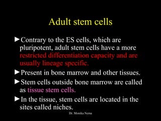 Adult stem cells
►Contrary to the ES cells, which are
pluripotent, adult stem cells have a more
restricted differentiation capacity and are
usually lineage specific.
►Present in bone marrow and other tissues.
►Stem cells outside bone marrow are called
as tissue stem cells.
►In the tissue, stem cells are located in the
sites called niches.
Dr. Monika Nema
 