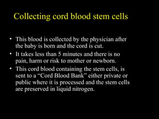 Collecting cord blood stem cells
• This blood is collected by the physician after
the baby is born and the cord is cut.
• It takes less than 5 minutes and there is no
pain, harm or risk to mother or newborn.
• This cord blood containing the stem cells, is
sent to a “Cord Blood Bank” either private or
public where it is processed and the stem cells
are preserved in liquid nitrogen.
 