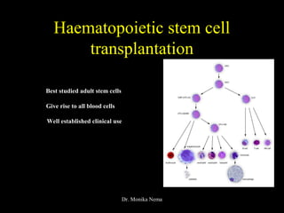 Haematopoietic stem cell
transplantation
Dr. Monika Nema
Best studied adult stem cells
Give rise to all blood cells
Well established clinical use
 