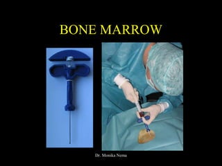 BONE MARROW
Dr. Monika Nema
 