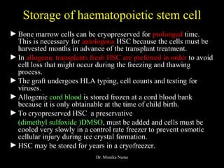 Storage of haematopoietic stem cell
►Bone marrow cells can be cryopreserved for prolonged time.
This is necessary for autologous HSC because the cells must be
harvested months in advance of the transplant treatment.
►In allogenic transplants fresh HSC are preferred in order to avoid
cell loss that might occur during the freezing and thawing
process.
►The graft undergoes HLA typing, cell counts and testing for
viruses.
►Allogenic cord blood is stored frozen at a cord blood bank
because it is only obtainable at the time of child birth.
►To cryopreserved HSC a preservative
(dimethyl sulfoxide )DMSO, must be added and cells must be
cooled very slowly in a control rate freezer to prevent osmotic
cellular injury during ice crystal formation.
►HSC may be stored for years in a cryofreezer.
Dr. Monika Nema
 