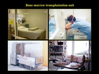 Bone marrow transplantation unit
Dr. Monika Nema
 