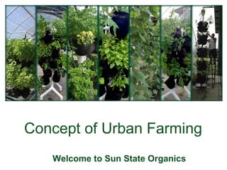 Concept of Urban Farming
Welcome to Sun State Organics
 