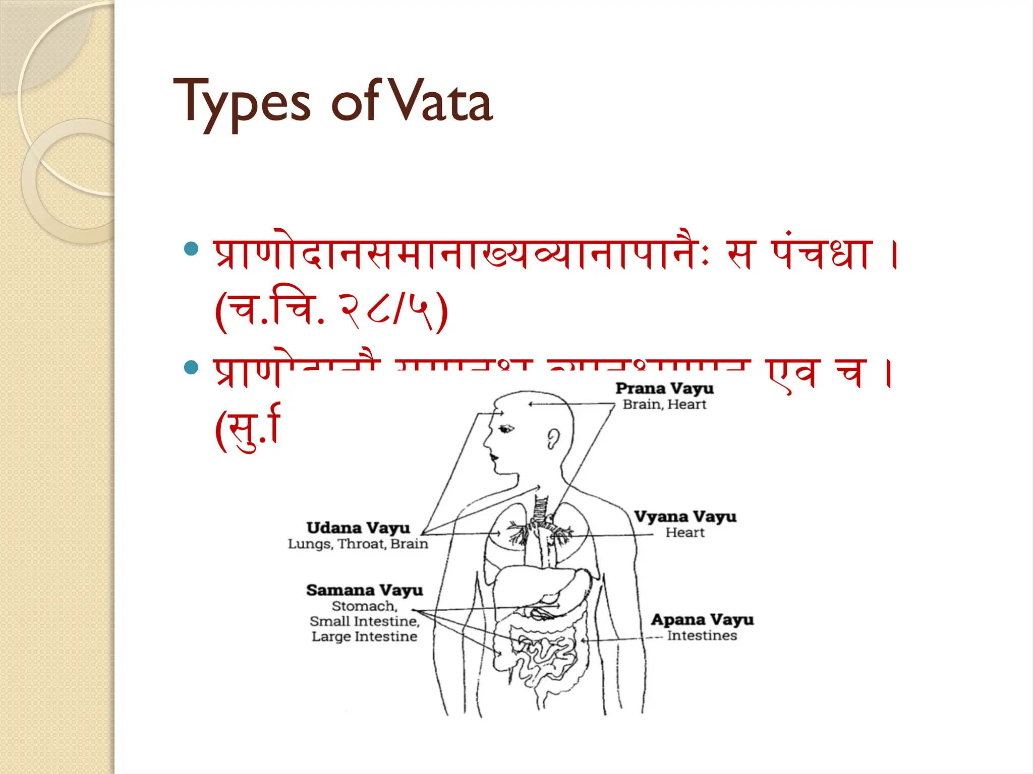 Types ofVata
 प्राणोदानसमानाख्यव्यानापानैः स पंचधा ।
(च.चि. २८/५)
 प्राणोदानौ समानश्च व्यानश्चापान एव च ।
(सु.नि. १/१२)
 