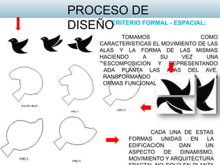 CRITERIO FORMAL - ESPACIAL:
TOMAMOS COMO
CARACTERISTICAS EL MOVIMIENTO DE LAS
ALAS Y LA FORMA DE LAS MISMAS
HACIENDO A SU VEZ UNA
DESCOMPOSICION Y REPRESENTANDO
CADA PLANTA LAS ALAS DEL AVE,
TRANSFORMANDO LAS PUNTAS EN
FORMAS FUNCIONALES.
CADA UNA DE ESTAS
FORMAS UNIDAS EN LA
EDIFICACIÓN DAN UN
ASPECTO DE DINAMISMO,
MOVIMIENTO Y ARQUITECTURA
PROCESO DE
DISEÑO
 