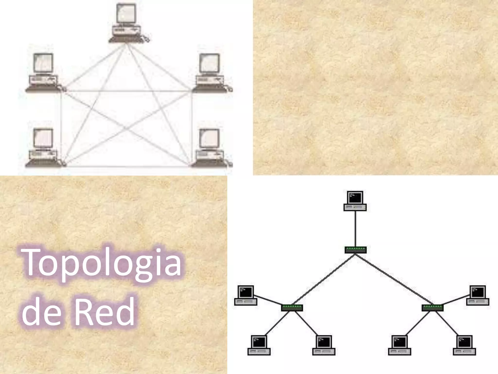 Topologia de Red