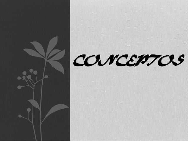 Conceptos