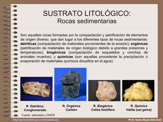 SUSTRATO LITOLÓGICO: Rocas sedimentarias Son aquellas rocas formadas por la compactación y petrificación de elementos de origen diverso, que dan lugar a los diferentes tipos de rocas sedimentarias:  detríticas  (compactación de materiales provenientes de la erosión);  orgánicas  (petrificación de materiales de origen biológico debido a grandes presiones y temperaturas);  biogénicas  (compactación de esqueletos y conchas de animales muertos); y  químicas  (son aquellas procedente la precipitación o evaporación de materiales químicos disueltos en el agua). R. Detrítica: Conglomerado R. Orgánica Carbón R. Biogénica Caliza fosilífera R. Química Halita (sal gema) Prof. Isaac Buzo Sánchez Fuente: wikimedia y CNICE 