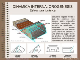 DINÁMICA INTERNA: OROGÉNESIS Estructura jurásica Estructura plegada debido a que las presiones han actuado sobre materiales plásticos, generando una sucesión de anticlinales y sinclinales. Ambos compuestos de dos flancos (cada uno de los laterales) y una charnela (lugar donde se produce la inflexión).El buzamiento es la inclinación que presentan los estratos. PLIEGUE RECTO PLIEGUE INCLINADO PLIEGUE EN COFRE PLIEGUE EN RODILLA Fuente: wikipedia transformada y elaboración propia Prof. Isaac Buzo Sánchez 