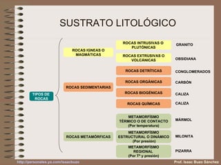 SUSTRATO LITOLÓGICO TIPOS DE  ROCAS ROCAS IGNEAS O MAGMÁTICAS ROCAS SEDIMENTARIAS ROCAS METAMÓRFICAS ROCAS INTRUSIVAS O  PLUTÓNICAS ROCAS EXTRUSIVAS O VOLCÁNICAS METAMORFÍSMO TÉRMICO O DE CONTACTO (Por temperatura) METAMORFÍSMO ESTRUCTURAL O DINÁMICO (Por presión) METAMORFÍSMO REGIONAL  (Por Tª y presión) ROCAS DETRÍTICAS ROCAS ORGÁNICAS ROCAS BIOGÉNICAS ROCAS QUÍMICAS GRANITO OBSIDIANA CONGLOMERADOS CARBÓN CALIZA CALIZA MÁRMOL MILONITA PIZARRA Prof. Isaac Buzo Sánchez 