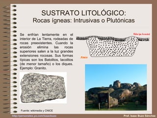 SUSTRATO LITOLÓGICO: Rocas ígneas: Intrusivas o Plutónicas Se enfrían lentamente en el interior de La Tierra, rodeadas de rocas preexistentes. Cuando la erosión elimina las rocas superiores salen a la luz grandes extensiones rocosas. Sus formas típicas son los Batolitos, lacolitos (de menor tamaño) o los diques. Ejemplo: Granito. Fuente: wikimedia y CNICE Prof. Isaac Buzo Sánchez Prof. Isaac Buzo Sánchez 