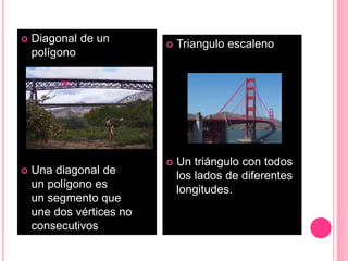  Diagonal de un
polígono
 Una diagonal de
un polígono es
un segmento que
une dos vértices no
consecutivos
 Triangulo escaleno
 Un triángulo con todos
los lados de diferentes
longitudes.
 