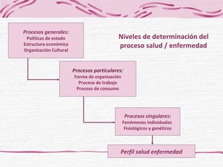 Procesos generales: Políticas de estado Estructura económica Organización Cultural Procesos particulares: Forma de organización Proceso de trabajo Proceso de consumo Procesos singulares: Fenómenos individuales  Fisiológicos y genéticos Perfil salud enfermedad Niveles de determinación del proceso salud / enfermedad 