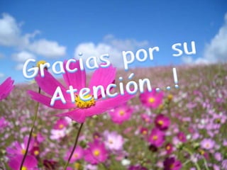 Concepto salud mental