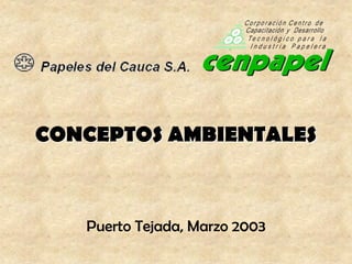 CONCEPTOS AMBIENTALES
Puerto Tejada, Marzo 2003
 
