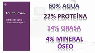 +
Adulto Joven
Distribución Nomal
Composición Corporal
 