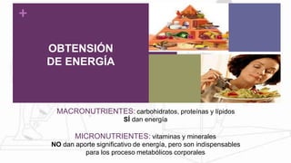 MACRONUTRIENTES: carbohidratos, proteínas y lípidos
SÍ dan energía
MICRONUTRIENTES: vitaminas y minerales
NO dan aporte significativo de energía, pero son indispensables
para los proceso metabólicos corporales
+
OBTENSIÓN
DE ENERGÍA
 