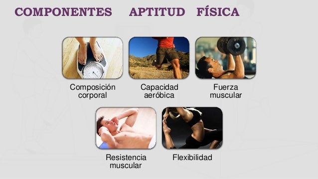 Conceptos aptitud física