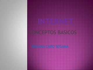 INTERNET CONCEPTOS BASICOS ROXANA CARO SEGAMA 