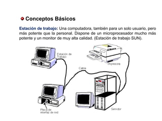 Estación de trabajo: Una computadora, también para un solo usuario, pero
más potente que la personal. Dispone de un microprocesador mucho más
potente y un monitor de muy alta calidad. (Estación de trabajo SUN).
Conceptos Básicos
 