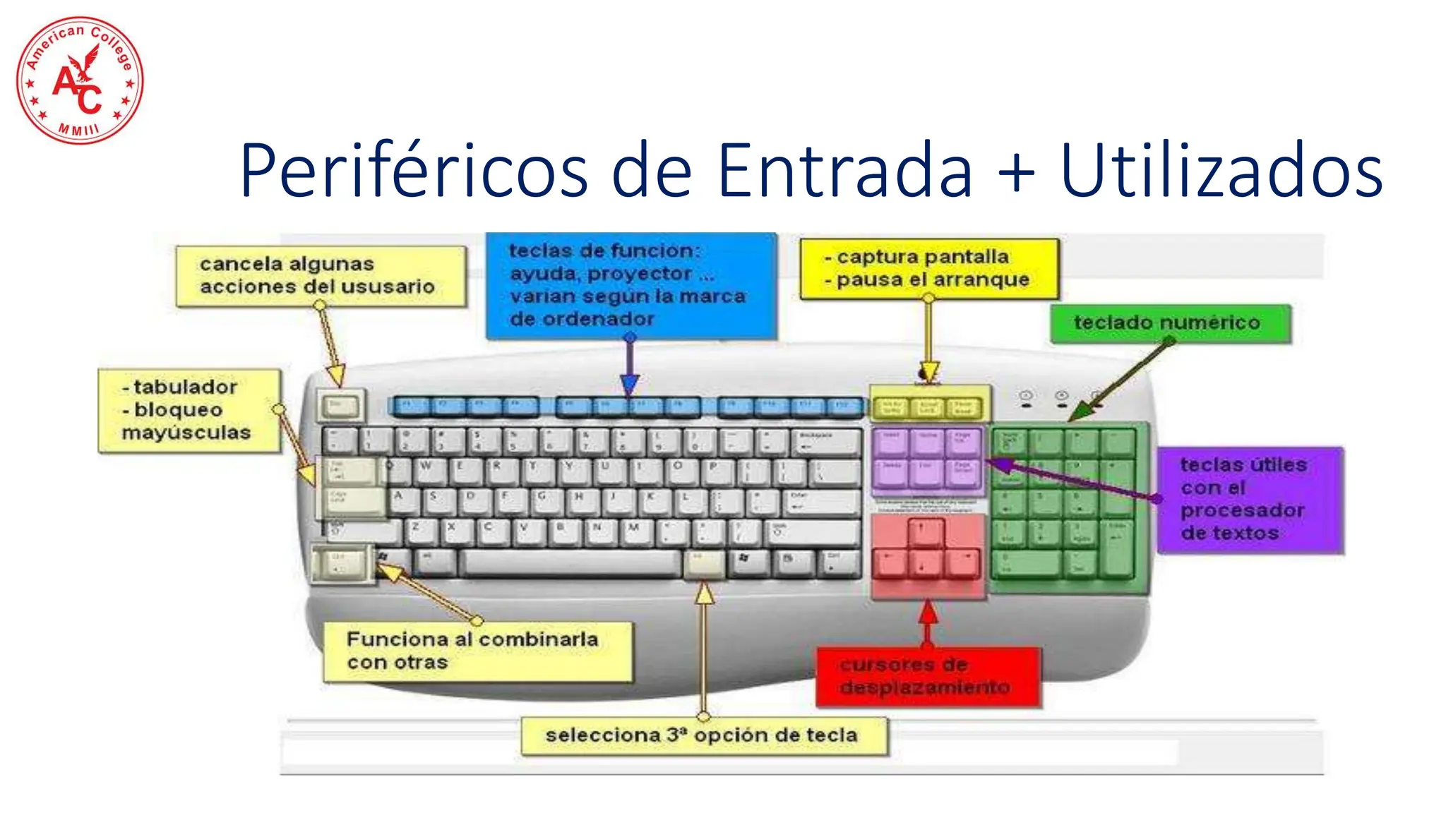 Periféricos de Entrada + Utilizados
 