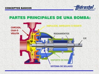 PARTES PRINCIPALES DE UNA BOMBA:
CONCEPTOS BASICOS
RODAMIENTOS
IMPULSOR, IMPELENTE O RODETE
EJE
CARCASA,
CAJA O
VOLUTA
SOPORTE DE ROD.
SISTEMA DE SELLADO
 