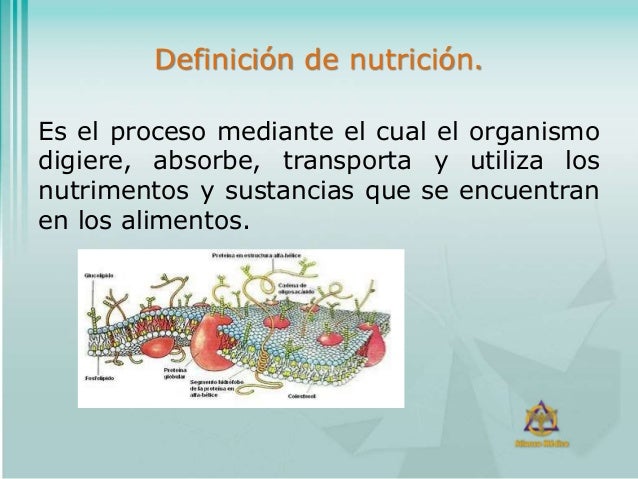 Como adelgazar en las condiciones de casa a 10 kg en una semana en 8 años