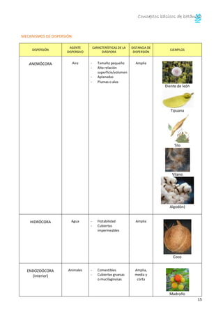 Conceptos básicos de botánica
15
MECANISMOS DE DISPERSIÓN:
DISPERSIÓN
AGENTE
DISPERSIVO
CARACTERÍSTICAS DE LA
DIÁSPORA
DISTANCIA DE
DISPERSIÓN
EJEMPLOS
ANEMÓCORA Aire - Tamaño pequeño
- Alta relación
superficie/volumen
- Aplanadas
- Plumas o alas
Amplia
Diente de león
Tipuana
Tilo
Vilano
Algodón)
HIDRÓCORA Agua - Flotabilidad
- Cubiertas
impermeables
Amplia
Coco
ENDOZOÓCORA
(interior)
Animales - Comestibles
- Cubiertas gruesas
o mucilaginosas
Amplia,
media y
corta
Madroño
 