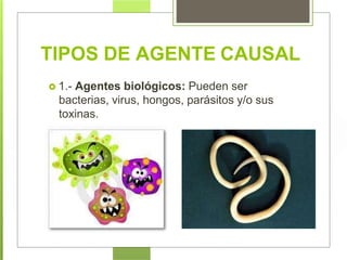  1.- Agentes biológicos: Pueden ser
bacterias, virus, hongos, parásitos y/o sus
toxinas.
TIPOS DE AGENTE CAUSAL
 