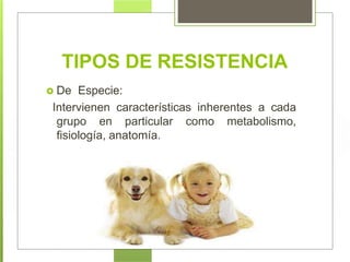  De Especie:
Intervienen características inherentes a cada
grupo en particular como metabolismo,
fisiología, anatomía.
TIPOS DE RESISTENCIA
 