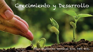 Crecimiento y Desarrollo
Félix Guillermo Sandóval Ríos, DMD, M.Sc.
 