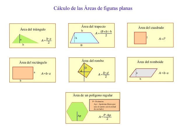 Conceptos basicos de geometria plana