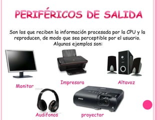 conceptos basicos sobre la informatica | PPTX