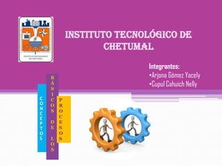 Instituto tecnológico de
chetumal
Integrantes:
•Arjona Gómez Yacely
•Cupul Cahuich Nelly
C
O
N
C
E
P
T
O
S
B
Á
S
I
C
O
S
D
E
L
O
S
P
R
O
C
E
S
O
S
 