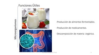 Conceptos Básicos de Microbiología  de los Alimentos.pptx